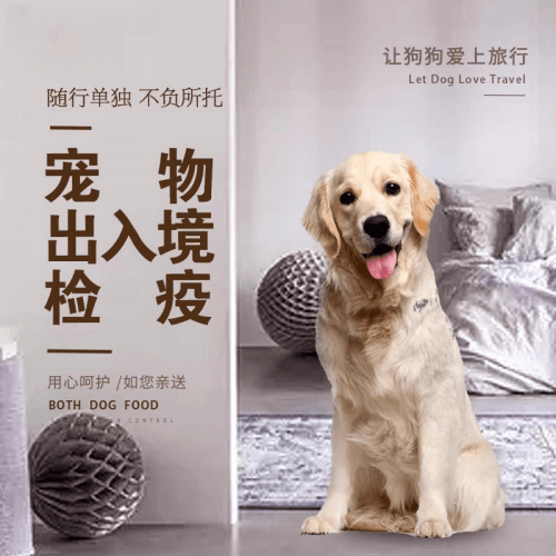 金华宠物托运到哥伦比亚猫狗宠物入境规定和