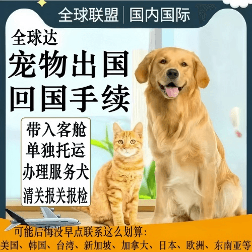 金华宠物托运到柬埔寨宠物入境规定和要求